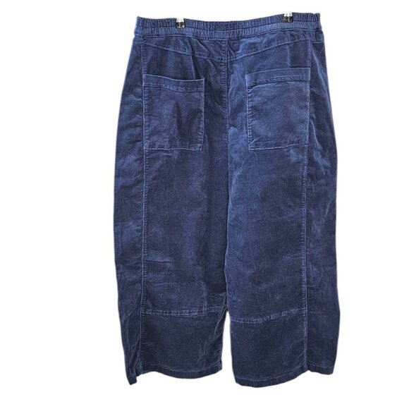 Pilcro Blue Corduroy Pants - Picture 3 of 10